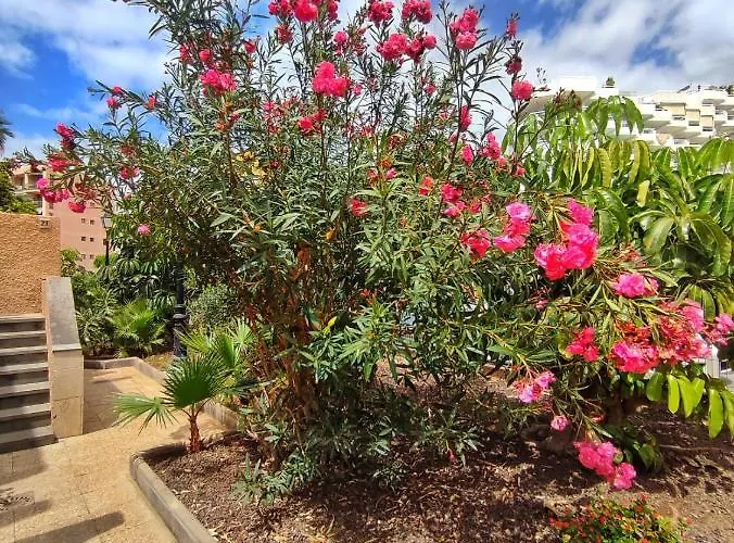 Dreaming Parque De Americas Διαμέρισμα *