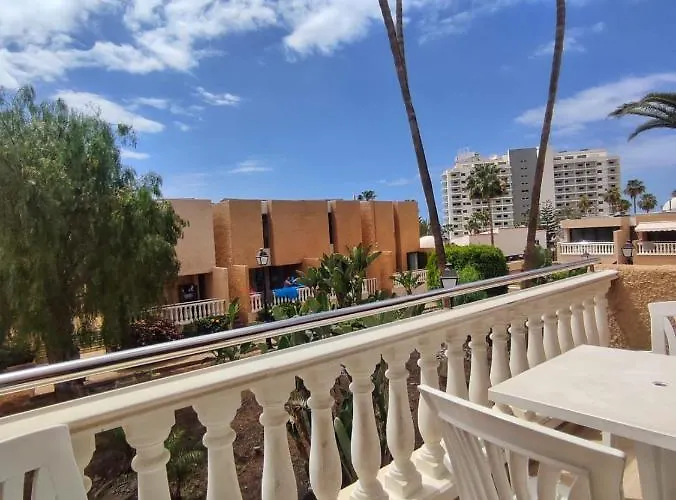 Dreaming Parque De Americas *