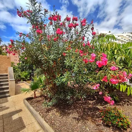 Dreaming Parque De Americas Apartamento *