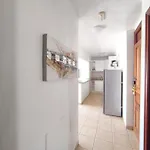 Dreaming Parque De Americas 美洲海滩