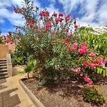 Dreaming Parque De Americas Apartment *